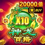 龙翔凤舞略